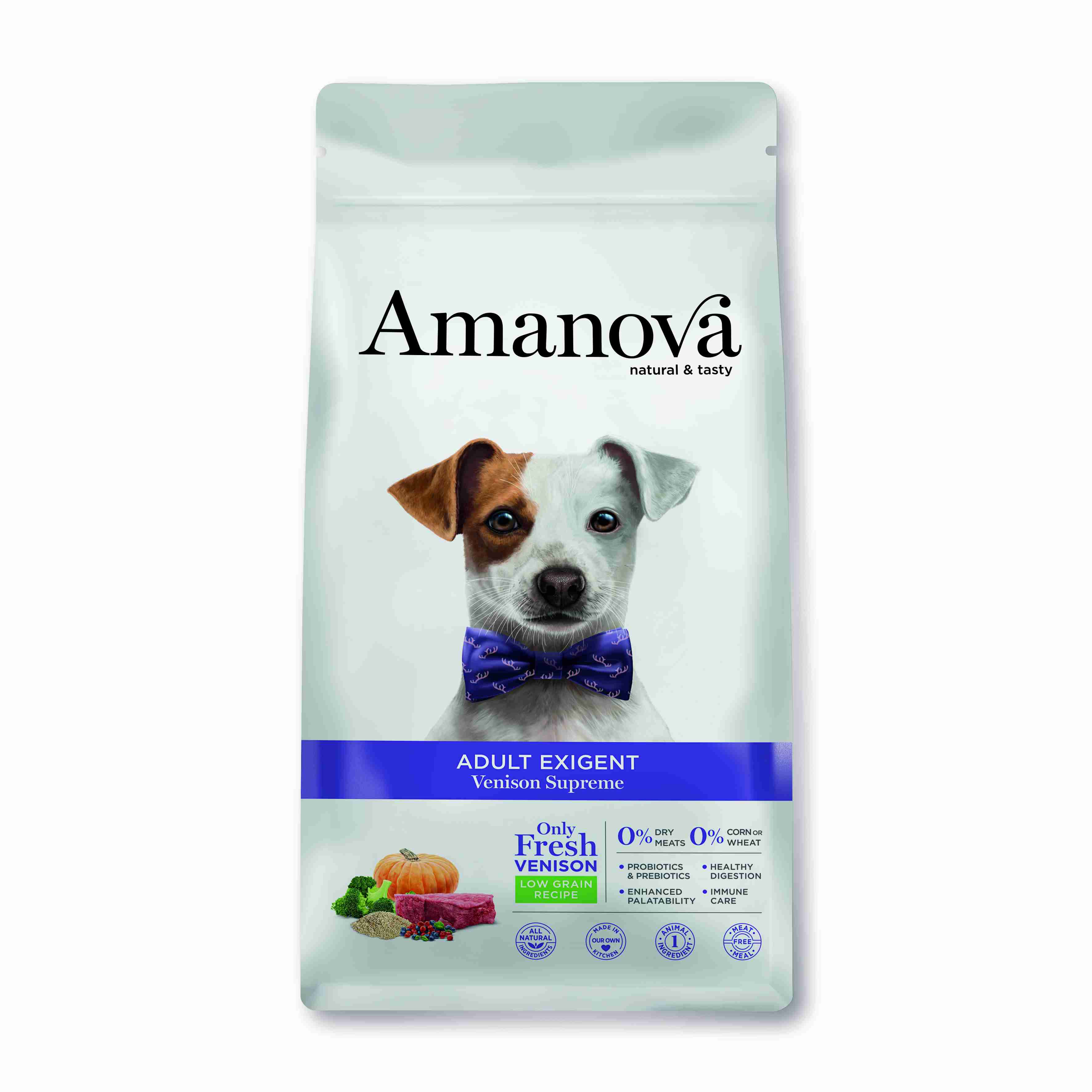 Best Pet Groomer